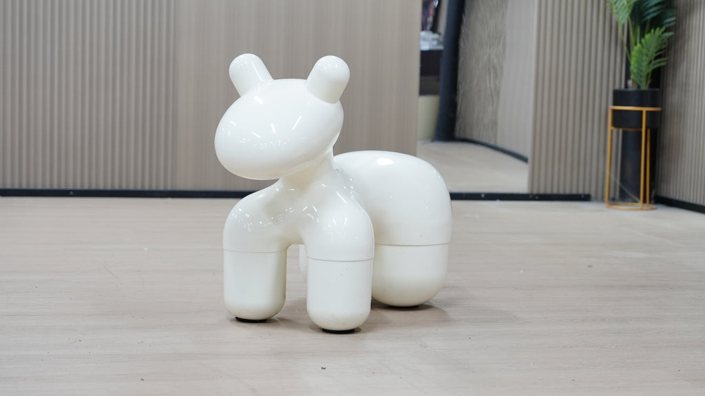 אקססוריז דוג